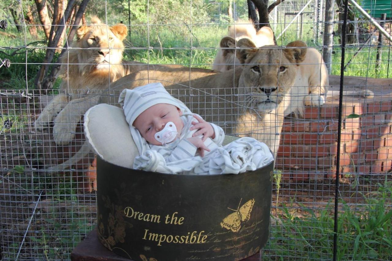 Simba Safaris African Pride Exotic Lodge Lephalale ภายนอก รูปภาพ
