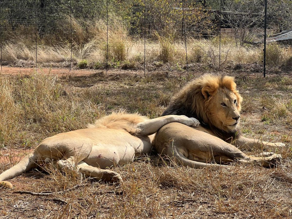 Simba Safaris African Pride Exotic Lodge Lephalale ภายนอก รูปภาพ