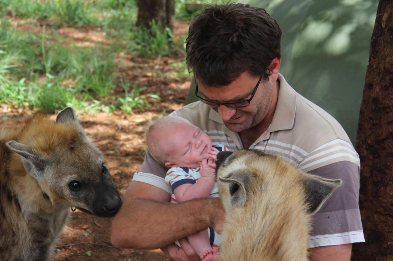 Simba Safaris African Pride Exotic Lodge Lephalale ภายนอก รูปภาพ