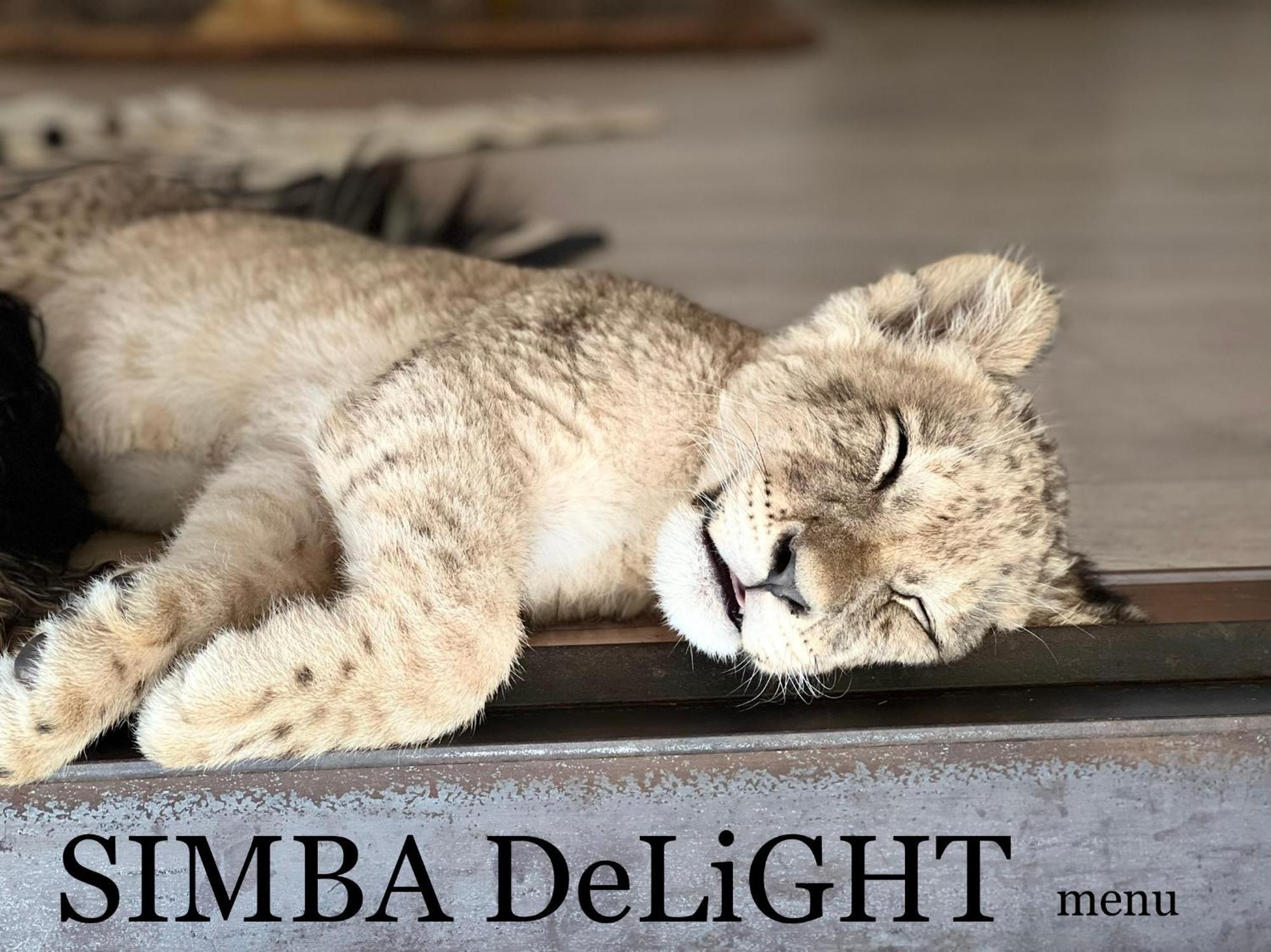Simba Safaris African Pride Exotic Lodge Lephalale ภายนอก รูปภาพ
