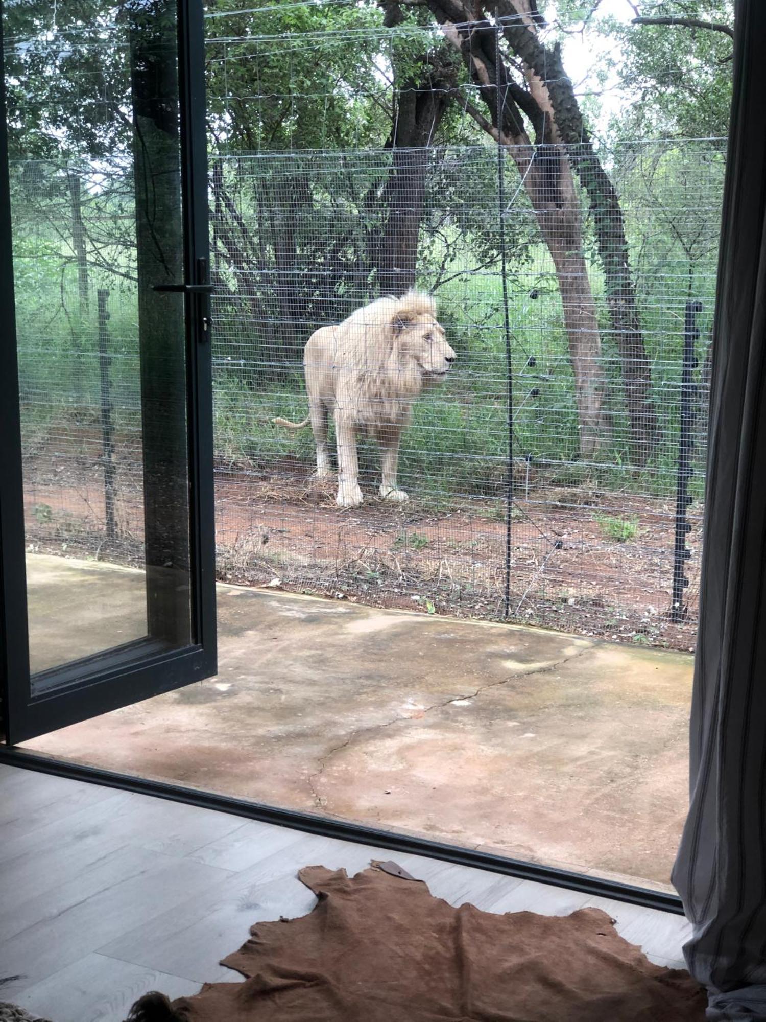 Simba Safaris African Pride Exotic Lodge Lephalale ภายนอก รูปภาพ