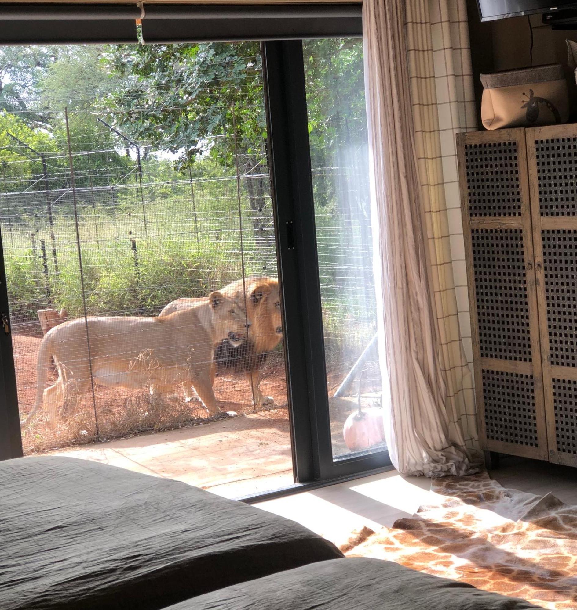 Simba Safaris African Pride Exotic Lodge Lephalale ภายนอก รูปภาพ