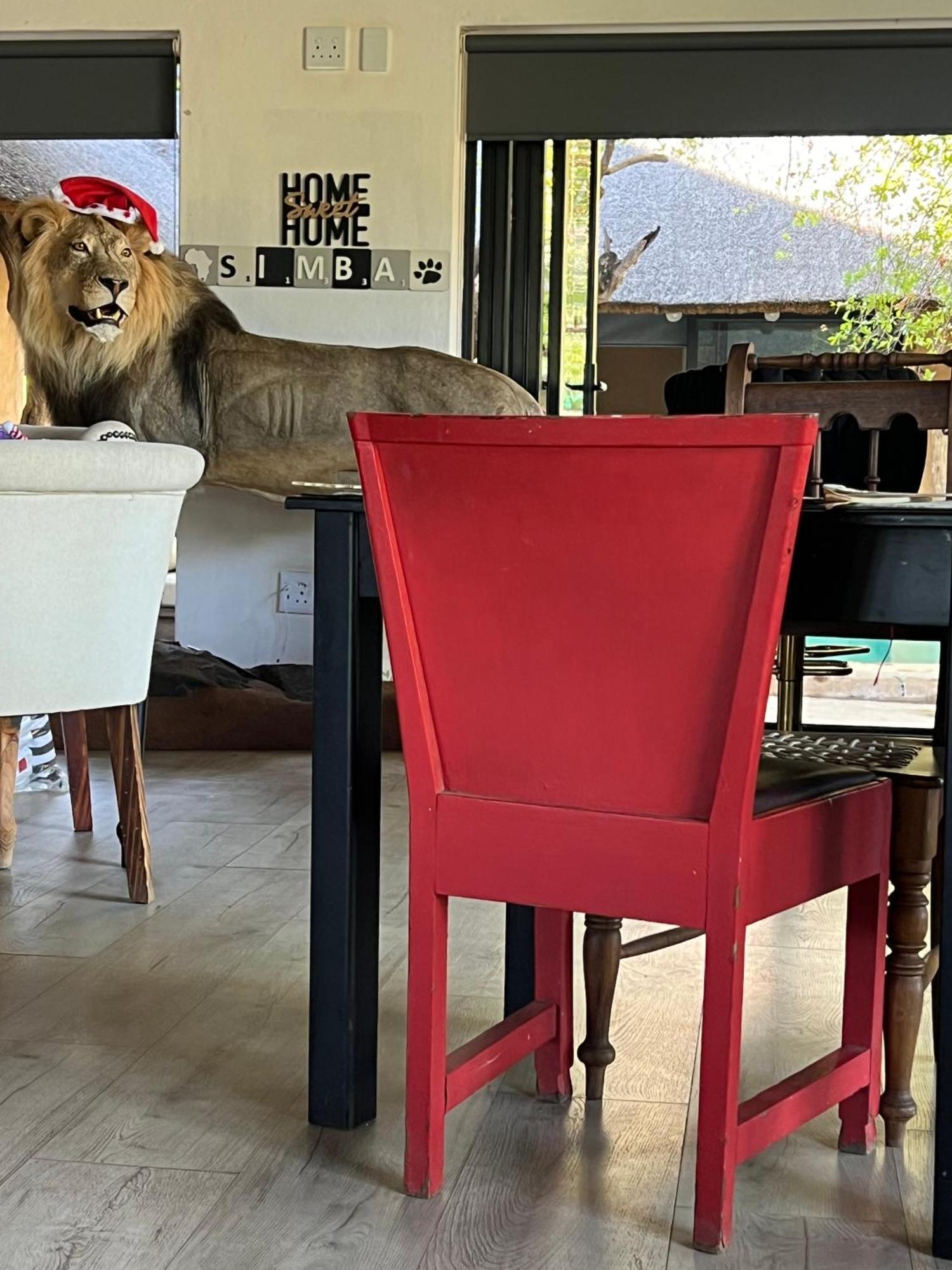 Simba Safaris African Pride Exotic Lodge Lephalale ภายนอก รูปภาพ