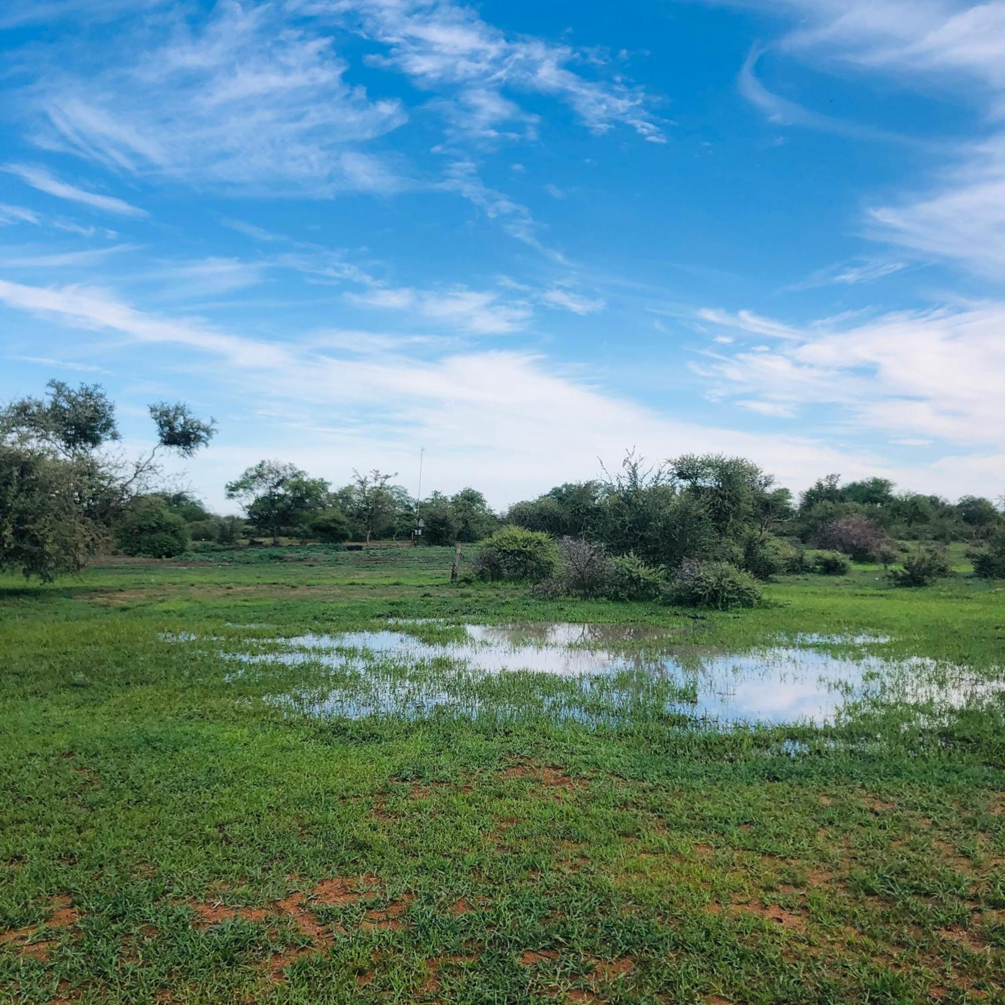 Simba Safaris African Pride Exotic Lodge Lephalale ภายนอก รูปภาพ