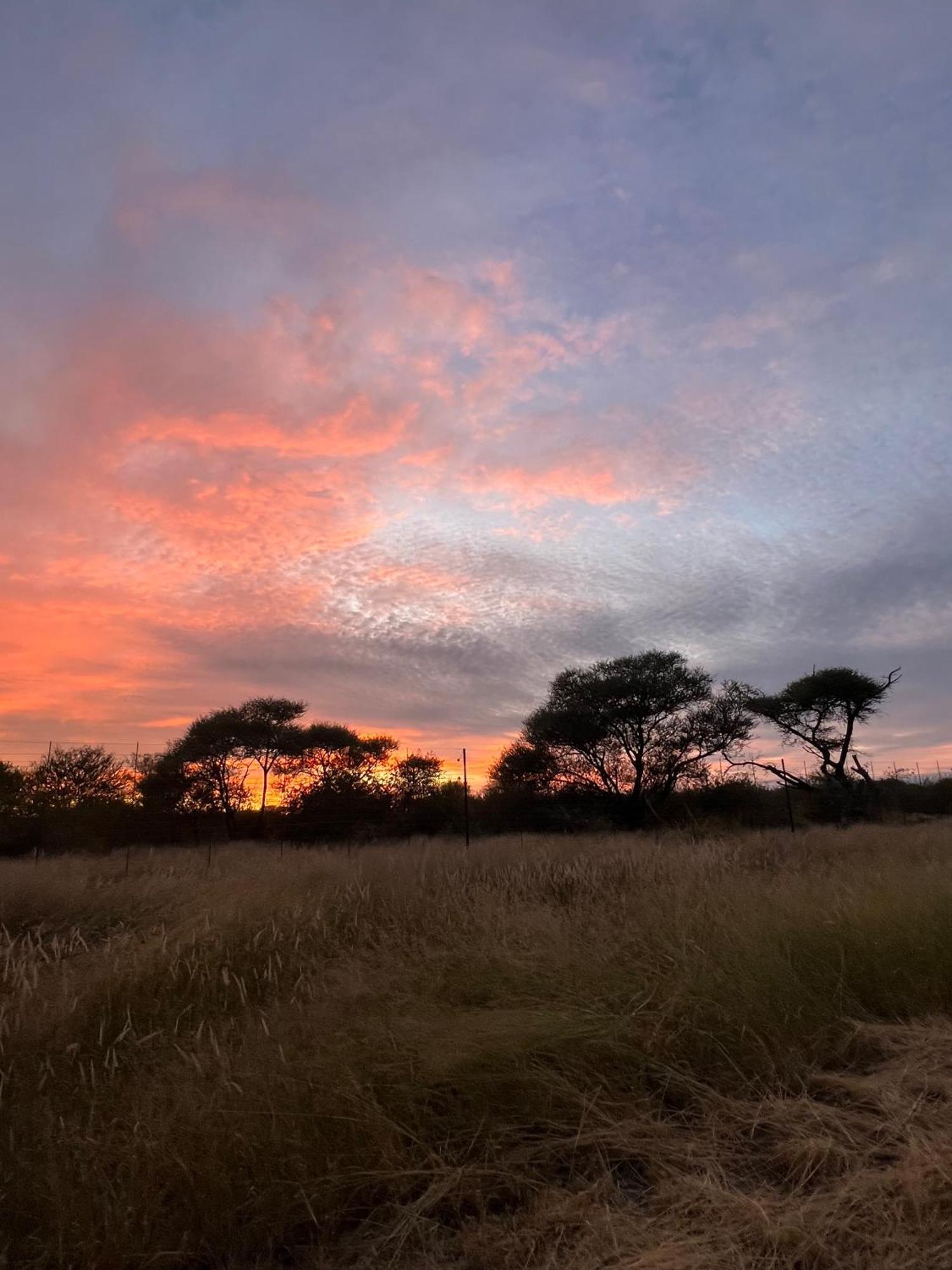 Simba Safaris African Pride Exotic Lodge Lephalale ภายนอก รูปภาพ